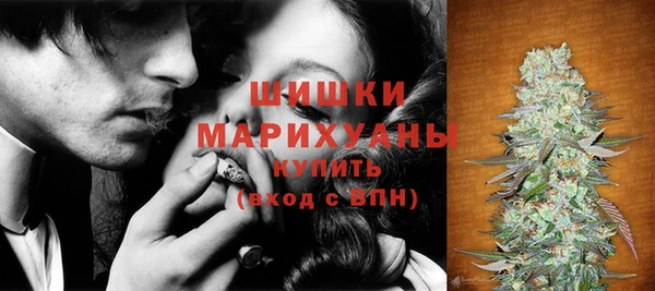 прущие грибы Баксан