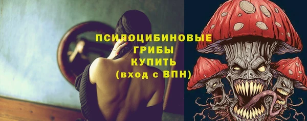прущие крисы Балахна